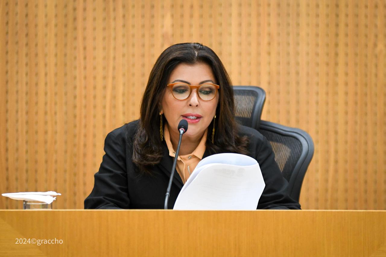 pleno 1 08032024.jpg